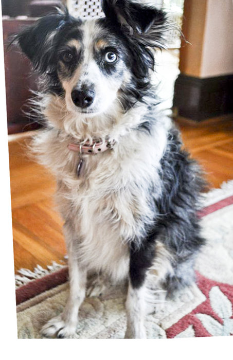 lost-female-aussie-san-francisco