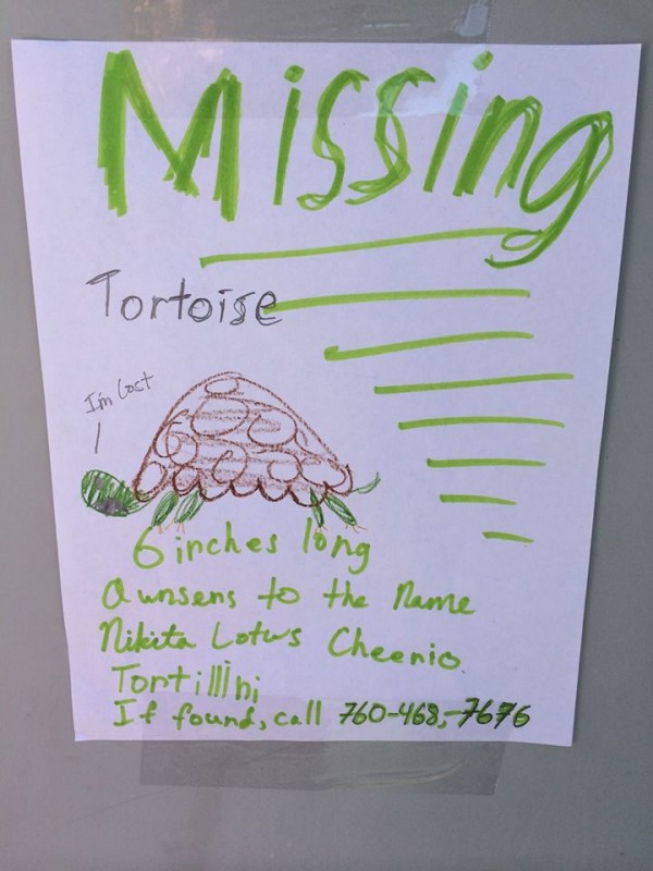 missingturtle